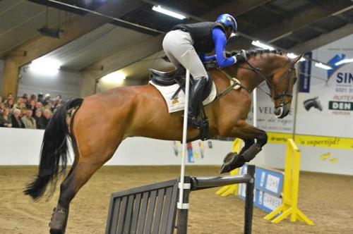 avondfleov (2) avondfleov (2)