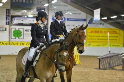 avondfleov (3) avondfleov (3)