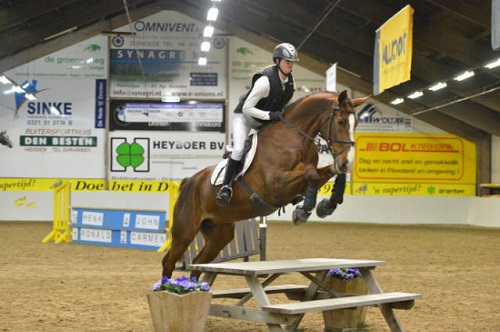 avondfleov (4) avondfleov (4)