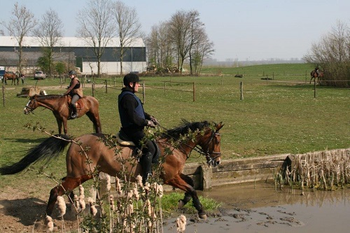 mrt14-5aWouter mrt14-5aWouter