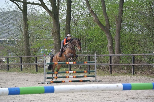 oharry spr oharry spr