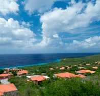 t-nature-1 t-nature-1