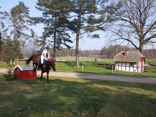 20140402_151538_resized 20140402_151538_resized