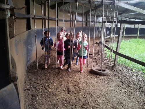 20140409_162940_resized 20140409_162940_resized