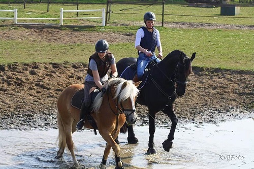 IMG_10666531957711 IMG_10666531957711