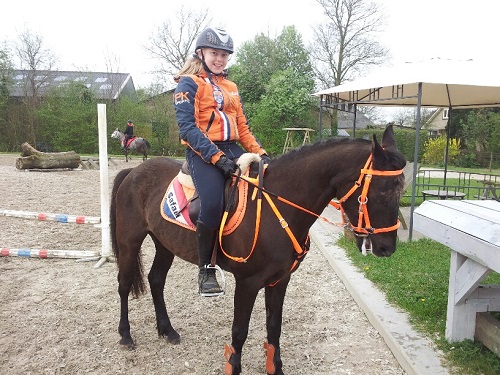 persp5 (2) persp5 (2)