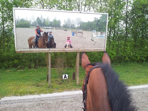 20140430_094155_resized_1 20140430_094155_resized_1