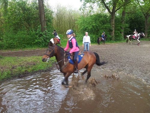 20140430_133942_resized 20140430_133942_resized