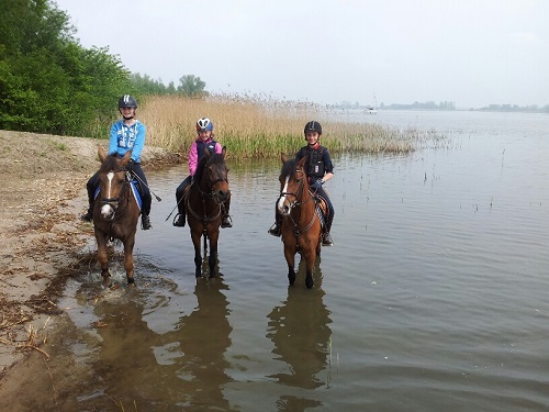 20140501_142126_resized 20140501_142126_resized