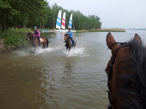 20140501_142529_resized 20140501_142529_resized