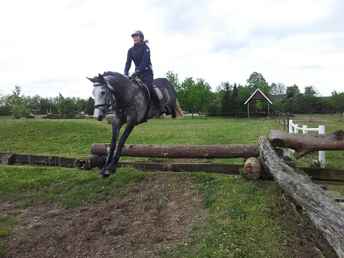 20140502_173452_resized 20140502_173452_resized