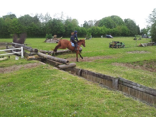 20140502_174913_resized 20140502_174913_resized