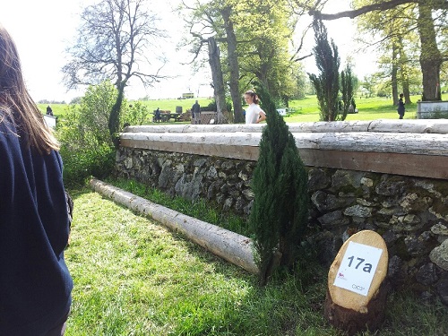 20140508_160157_resized 20140508_160157_resized