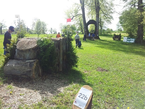 20140508_161341_resized 20140508_161341_resized