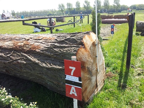 20140517_133733_resized 20140517_133733_resized