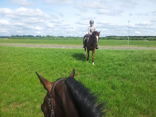 20140618_163704_resized