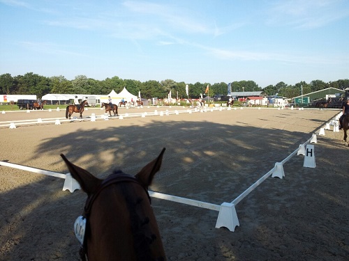 20140724_074313_resized