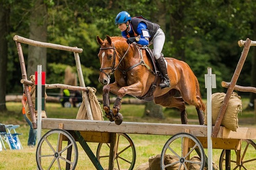 Alice Naber-Lozeman (NED)