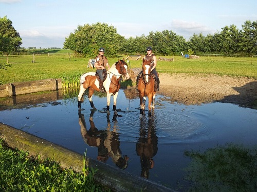 20140730_200844_resized 20140730_200844_resized