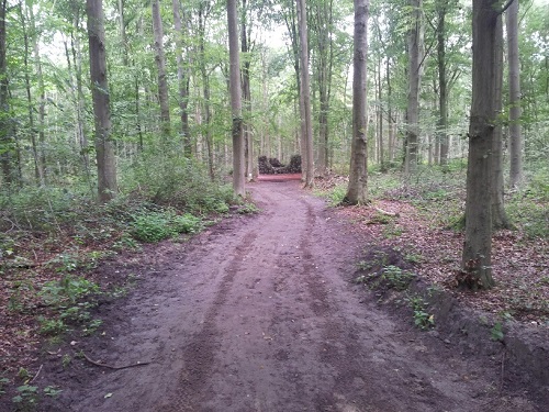 20140809_101501_resized 20140809_101501_resized