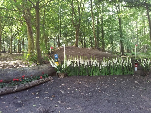 20140809_103100_resized 20140809_103100_resized