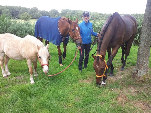 20140809_122903_resized 20140809_122903_resized