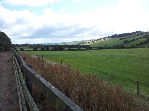 20140813_120044_resized