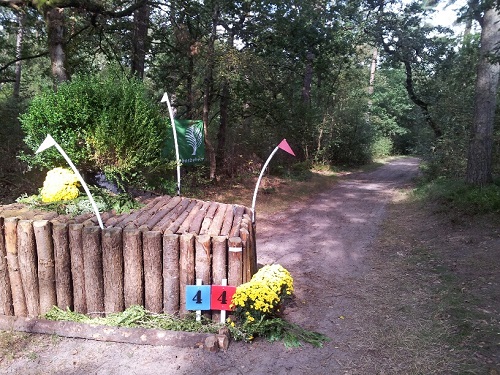 20140907_111423_resized