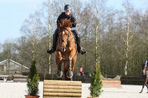 11036663_1414315462213402_2042226531327814667_n