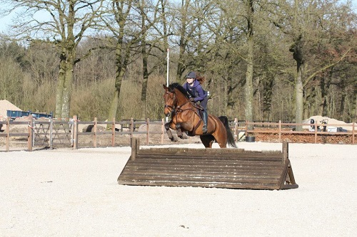 11043206_1414316808879934_3559119883201596870_n