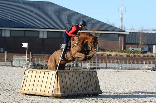 1510434_1414316952213253_2134929695593988121_n