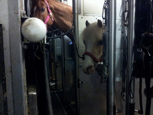 20150205_194203_resized