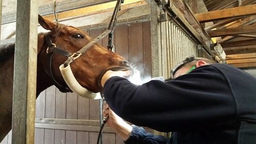 20150306_145058_resized