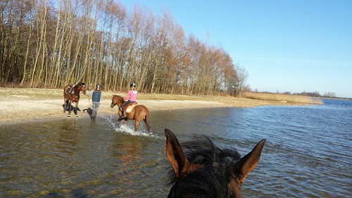 20150311_161105_resized