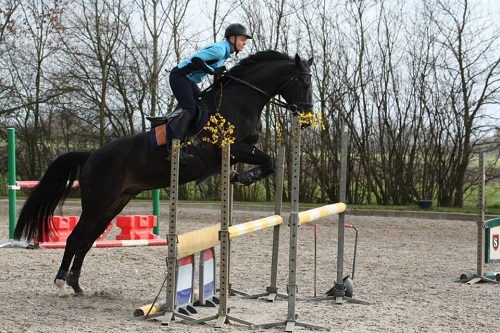 11084254_1428480757463539_6781950204262260540_n