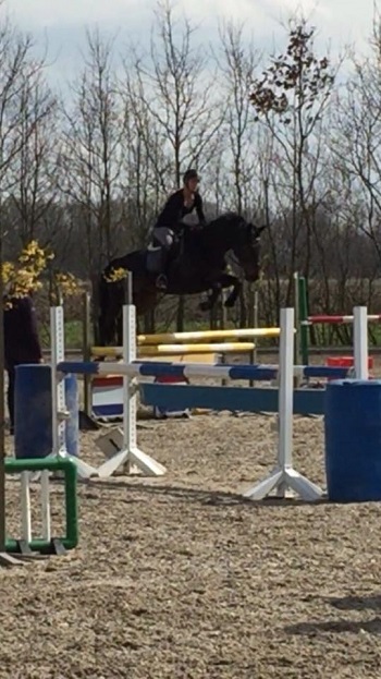 11147081_10155333470825167_3791090055114890157_n