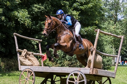 Alice Naber-Lozeman (NED)