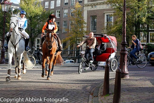 12020059_1027778510599675_3261882900173433996_n