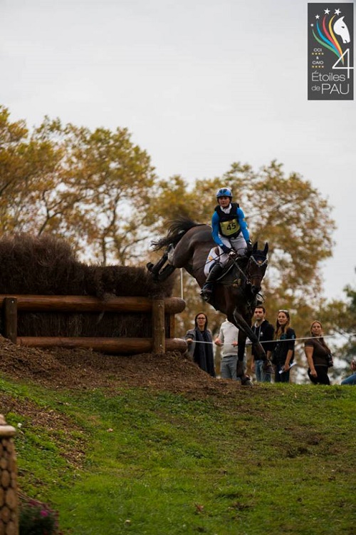 12039629_883788845040593_8986765840416524850_n