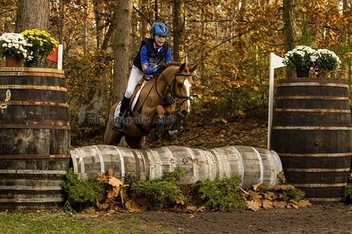 FB_IMG_1446321562720