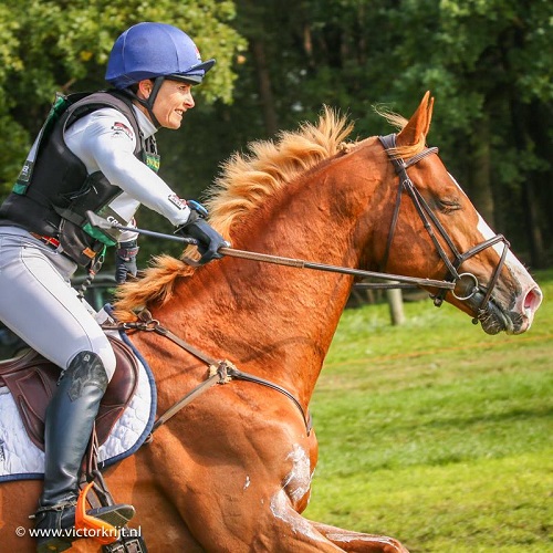 21751906_1511574845551957_4324526120107471636_n - kopie